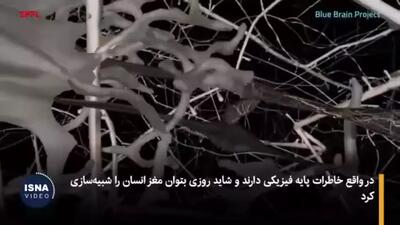 آیا امکان بازیابی خاطرات مغز انسان پس از مرگ وجود دارد؟