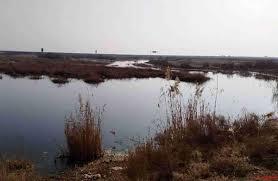 تکذیب رسمی آلودگی سیانور و آرسنیک در گرد و غبار تالاب بندعلیخان