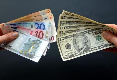 ثبات قیمت دلار در بازار ارز تجاری؛ یورو ارزان شد