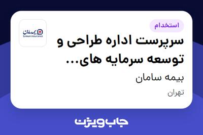 استخدام سرپرست اداره طراحی و توسعه سرمایه های انسانی در بیمه سامان