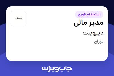 استخدام مدیر مالی در دیپوینت