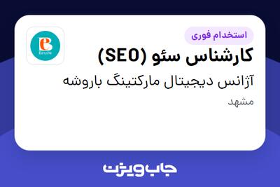استخدام کارشناس سئو (SEO) - خانم در آژانس دیجیتال مارکتینگ باروشه