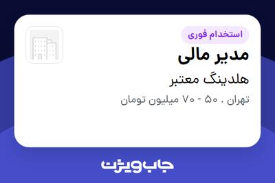استخدام مدیر مالی در هلدینگ معتبر