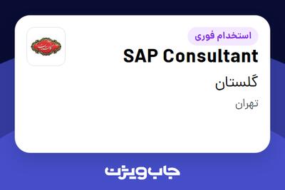 استخدام SAP Consultant در گلستان