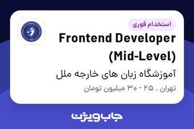 استخدام Frontend Developer (Mid-Level) - خانم در آموزشگاه زبان های خارجه ملل