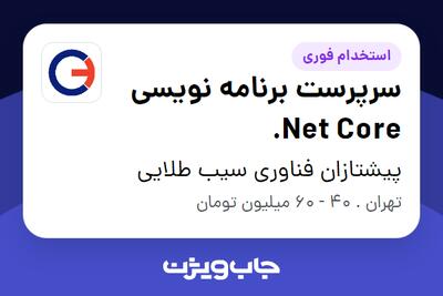 استخدام سرپرست برنامه نویسی Net Core. در پیشتازان فناوری سیب طلایی