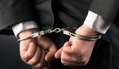 یک مهندس ایرانی در فرودگاه آمریکا دستگیر شد؛ اتهام بهرام محمد استواری چه بود؟