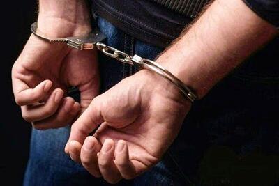 عامل تروریستی وابسته به سرویس بیگانه در مازندران دستگیر شد