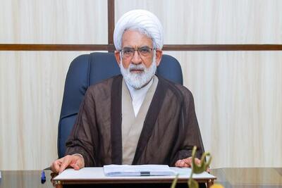منتظری: باید ارجاع پرونده‌ها به شعب هوشمند و الکترونیک انجام شود