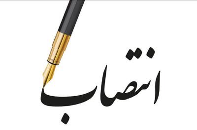 مدیرکل جدید تعاون، کار و رفاه اجتماعی هرمزگان منصوب شد