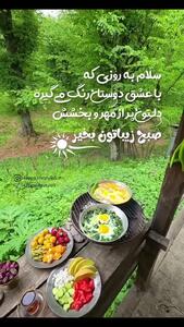 فال حافظ امروز متولدین هر ماه / شنبه 21 تیر