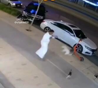 فیلم حمله ناگهانی گربه به سگ