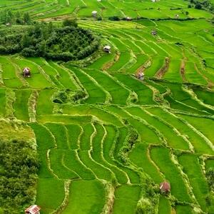 از مازندران، قلب سبز ایران تا مازرون، طبیعت چشم گیر ایران