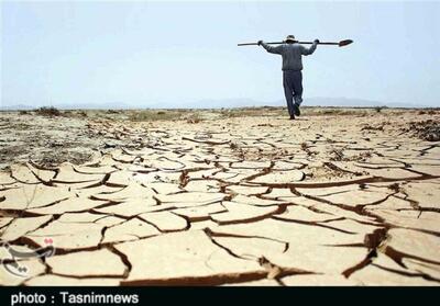 خاک حاصلخیز و نخل‌های خرمشهر ، دو ثروتی که آب شور نابود می‌کند - تسنیم