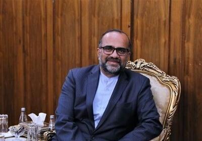سلطانی‌فرد: ایران و مصر بدون محدودیت در حال رایزنی هستند - تسنیم