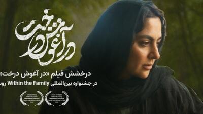 دو جایزه برای «در آغوش درخت» در مسکو