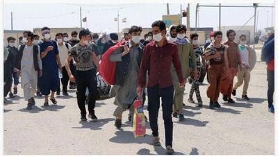 مهلت خروج اتباع غیر مجاز تمدید شد