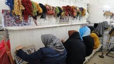 تولید بیش از ۲۵ هزار مترمربع فرش دستباف در استان اردبیل