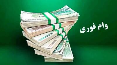 وام فوری 250 میلیون تومانی بدون ضامن برای این افراد