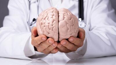 افراد باهوش تصمیمات بهتری می‌گیرند؟