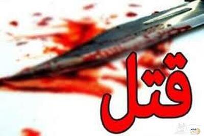 آیا حقیقت فاش می‌شود/ محاکمه‌ی مجدد متهمان پرونده‌ی قتل دکتر ضیایی و همسرش