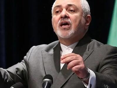 ظریف: باید بفهمیم کاترین شکدم چطوری آمد در کشور ما