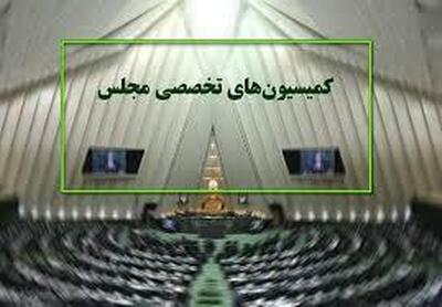 هیات رئیسه کمیسیون‌های تخصصی مجلس برای سال دوم انتخاب شدند