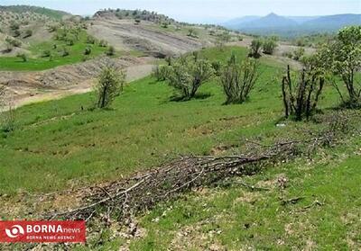 بازپس‌گیری اراضی ملی تصرف شده در شهرستان سنقر