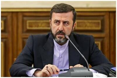غریب‌آبادی: همکاری ایران با آژانس تعلیق شده است+ فیلم