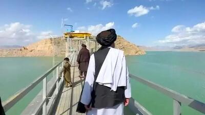 معاون وزارت کار: طالبان برخی افراد مهاجر را قبول نمی‌کنند؛ می‌گویند از کجا بدانیم این فرد افغانی است
