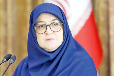 دیدار سخنگوی دولت ایران با وزیر خارجه پیشین بوسنی