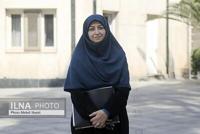 ۱۵ دستگاه اجرایی عضو ستاد ملی گردوغبار هستند