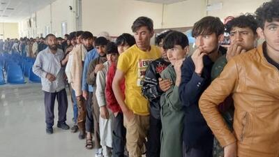 قابل توجه افغانستانی‌های طلبکار در ایران