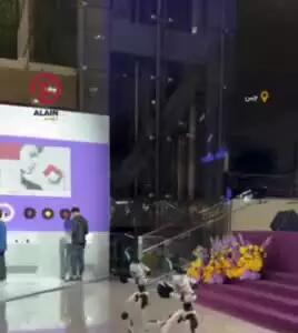 اجرای نمایش رزمی ۲ ربات کونگ‌فوکار با دقت بی‌نظیر و هماهنگ