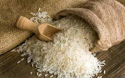 طرح ممنوعیت واردات برنج شعار بدون پشتوانه حمایتی استانداران