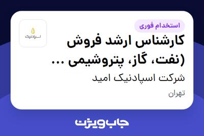 استخدام کارشناس ارشد فروش (نفت، گاز، پتروشیمی و فولاد) - خانم در شرکت اسپادنیک امید