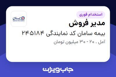 استخدام مدیر فروش در بیمه سامان کد نمایندگی 245184