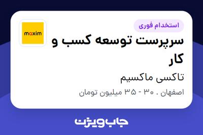 استخدام سرپرست توسعه کسب و کار - آقا در تاکسی ماکسیم