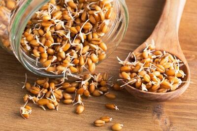 خوراکی که سبب افزایش طول عمر می‌شود