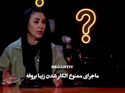 لو رفتن ماجرای ممنوع‌الکاری زیبا بروفه: تو هارد کامپیوتر عکس رضا عطاران و مجید صالحی رو دیدن....