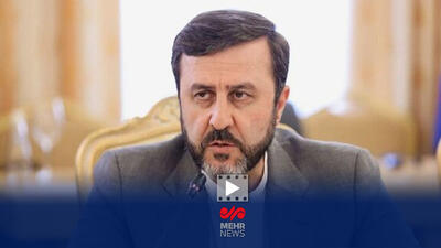 واکنش غریب آبادی به اظهارنظر صدراعظم آلمان درباره فعال شدن اسنپ بک