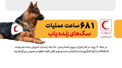 ۶۸۱ ساعت عملیات نجات با کمک سگ‌های زنده‌یاب در جنگ اخیر