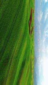 فیلم زیبایی قالی‌کوه لرستان در بهار