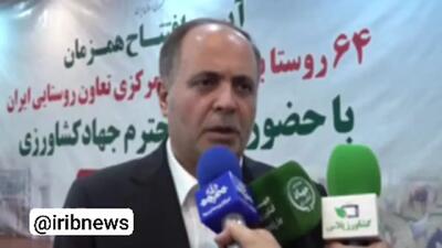 پرداخت مطالبات گندمکاران امروز ۲۲ تیر ۱۴۰۴ | گفته جدید وزیر جهاد کشاورزی + ویدئو