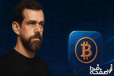 آیا پیام‌رسان بدون اینترنت Bitchat ایمن است؟