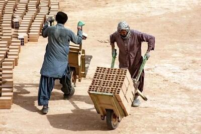 آخرین آمار مهاجرین افغان در بازار کار