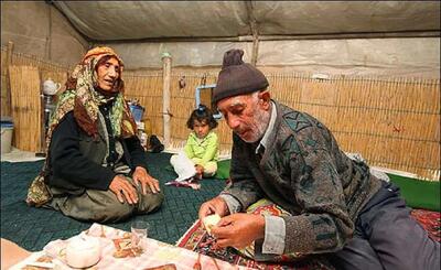 آواز اصیل؛ شاهنامه خوانی حماسی پیرمرد که بهش نمیاد ولی مدل آواز میخونه از کنسرتا بهتر
