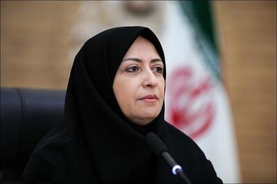 انصاری: مشکل تالاب صالحیه موضوعی نیست که به سرعت حل شود