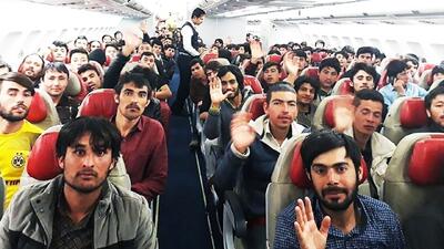 آمار عجیب از حضور مهاجران افغانستانی در بازار کار / چند درصد به کشورشان بازگشته‌اند؟