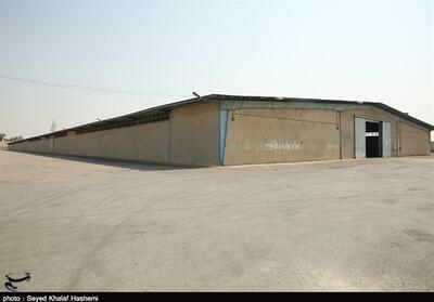 احداث فضای فنی نگهداری گندم در شمال استان بوشهر - تسنیم